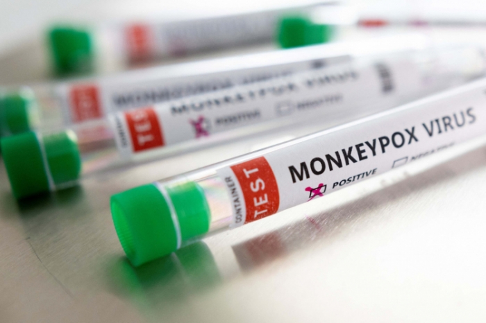 Ministério da Saúde investiga seis casos de varíola dos macacos no Brasil